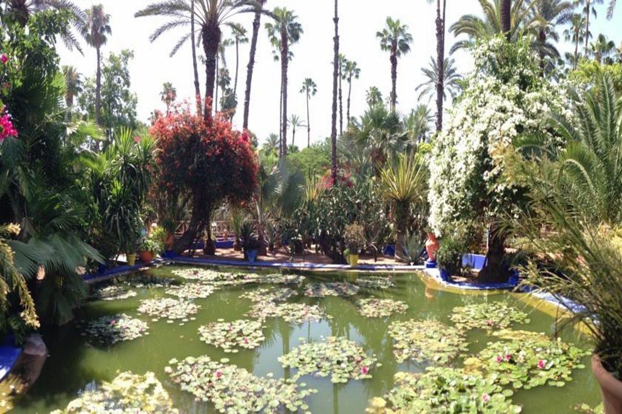 Riad Villa Harmonie Marrákes Kültér fotó